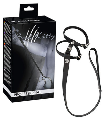 Penis/testicle Harness