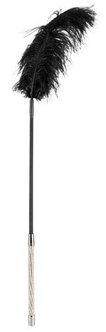 Rhinestones Feather Wand